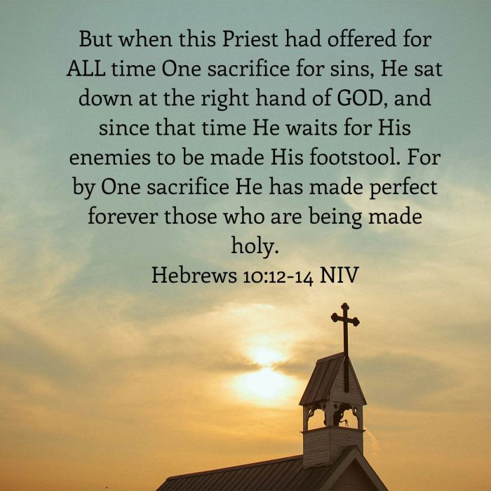 wp-1464356362206 image