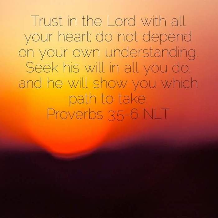 wp-1464447981979 image